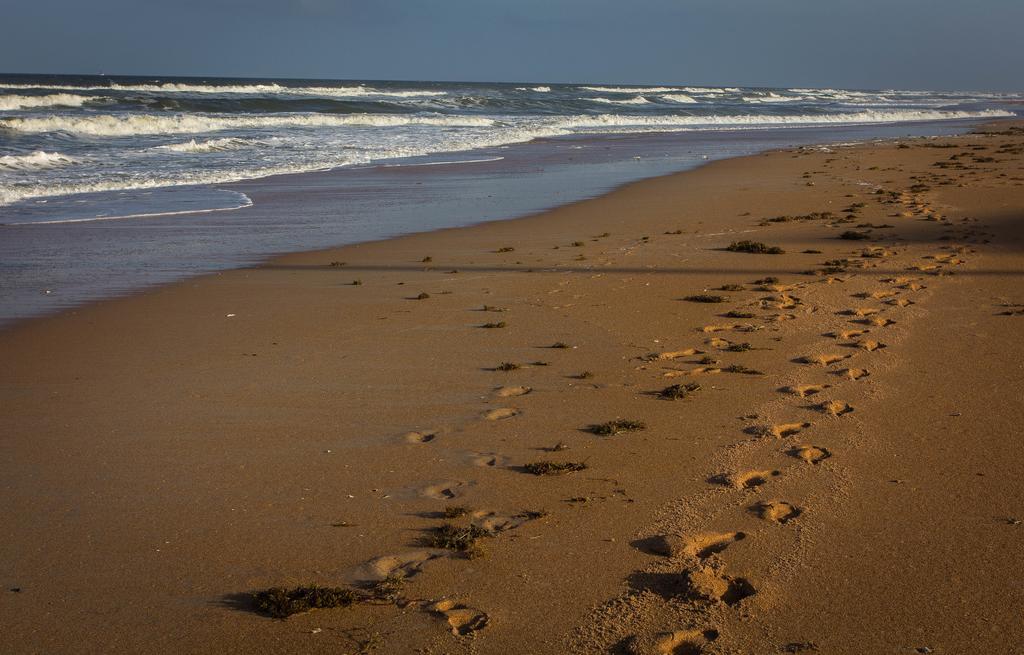 View The Ocean At Flagler Beach, Florida ภายนอก รูปภาพ